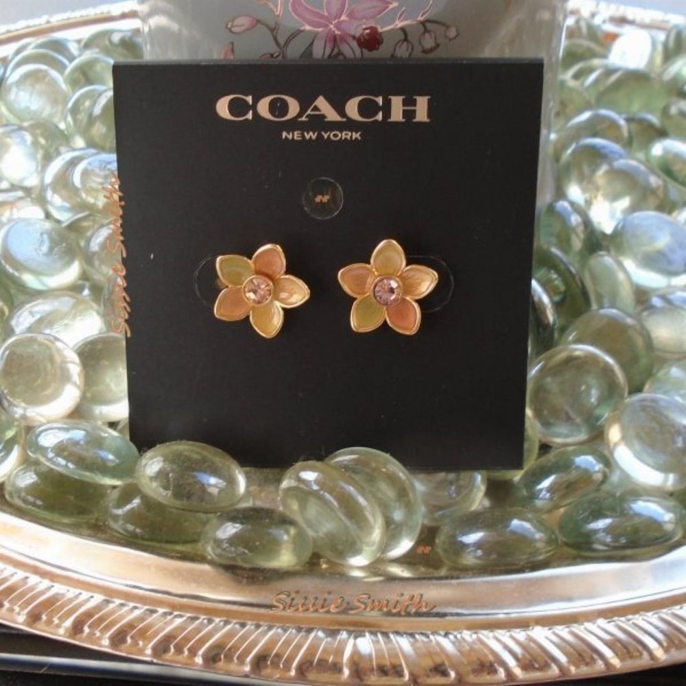 NWT Coach Transparent Wildflower Stud Earrings